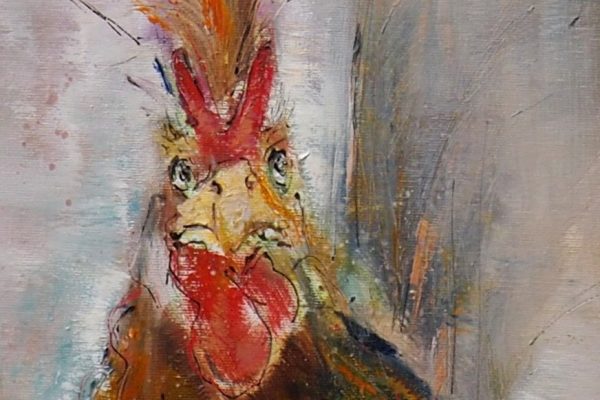 OLYMPUS DIGITAL CAMERA OLYMPUS DIGITAL CAMERA