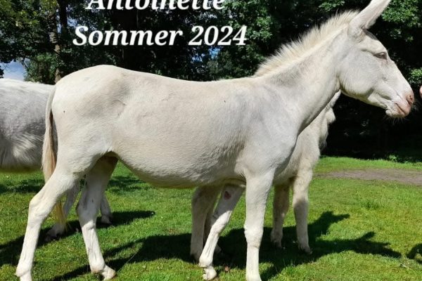 FB_IMG_1769336077985