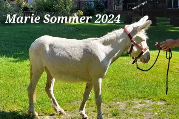 FB_IMG_1769336097310