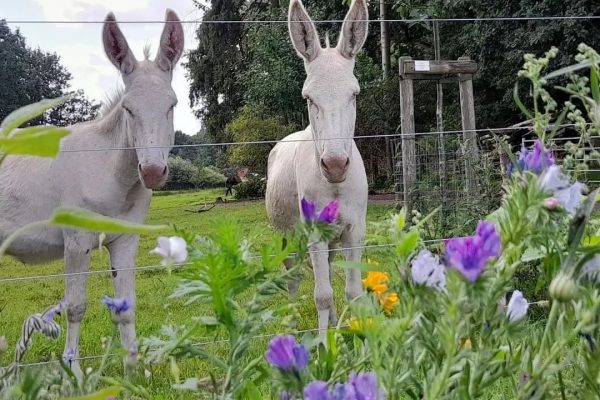 FB_IMG_1769336137892