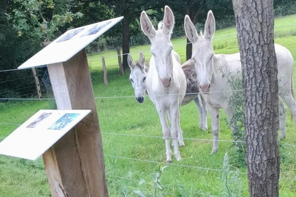 FB_IMG_1769336147905