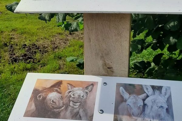 FB_IMG_1769336156322