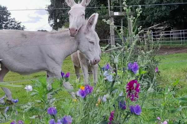 FB_IMG_1769336167148