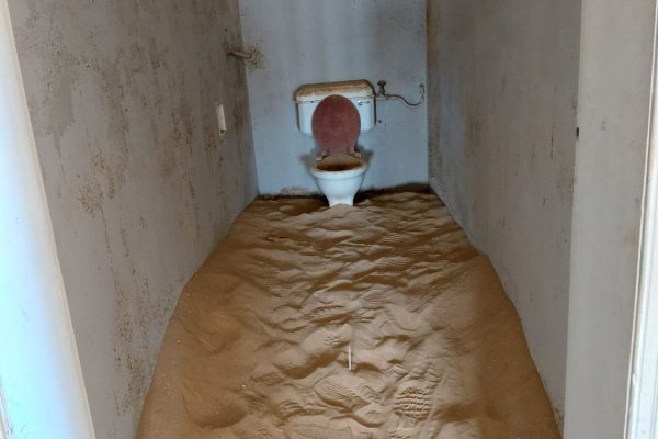 20260210_095006 20260210_095006