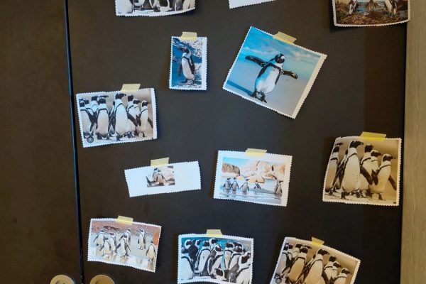 20260210_160142 20260210_160142