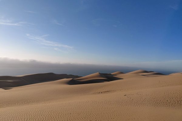 20260211_190141 20260211_190141