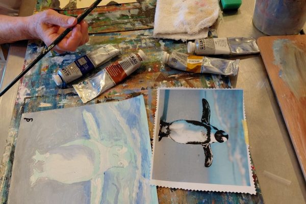 20260213_154655 20260213_154655