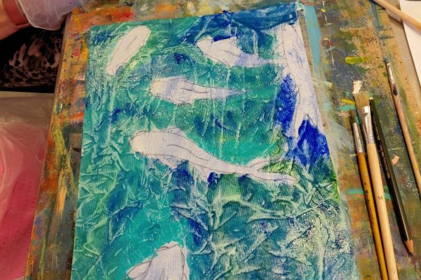 20260219_164127 20260219_164127