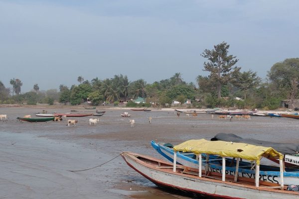 20260224_102755 20260224_102755