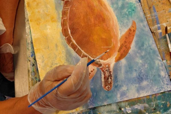 20260226_170858 20260226_170858