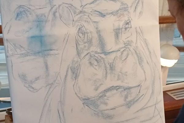 IMG_20260225_192002_211 IMG_20260225_192002_211